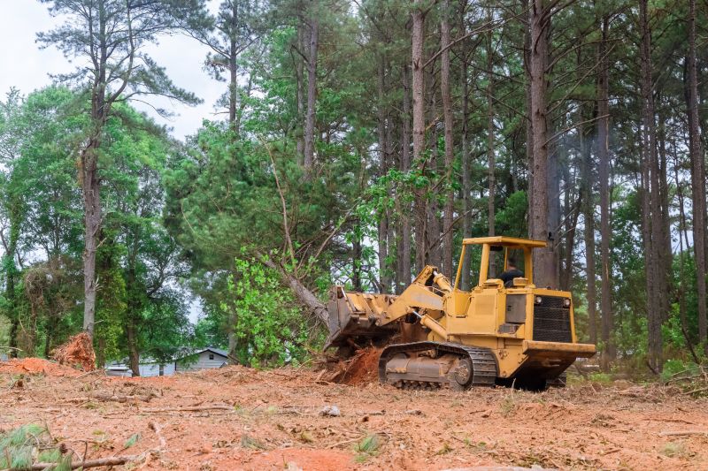 Construction Site Land Clearing in Katy, TX