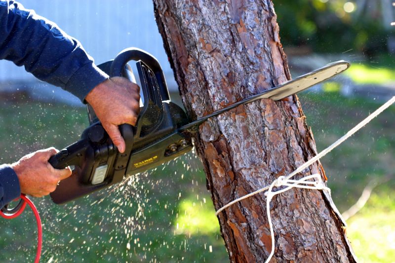 Tree Cutting Near Power Lines