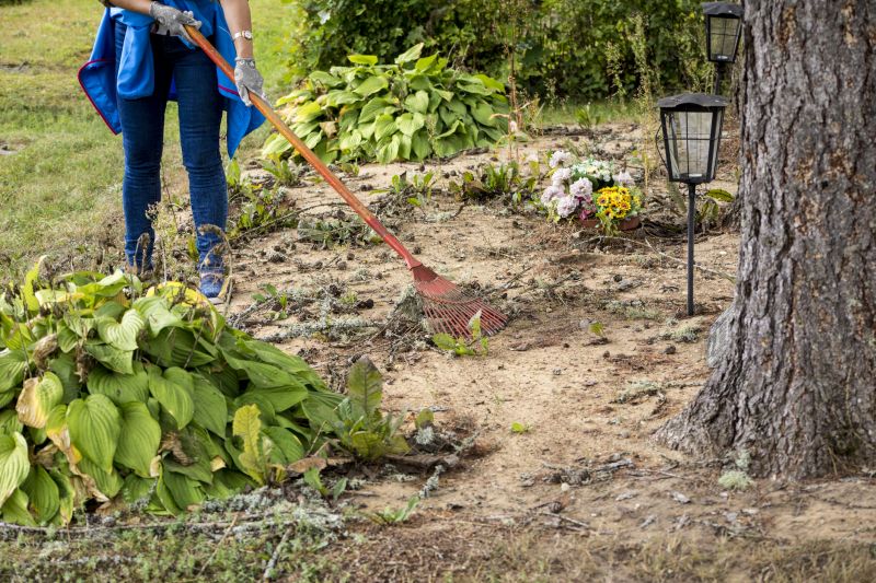 Land Clearing in Gwinnett County, GA