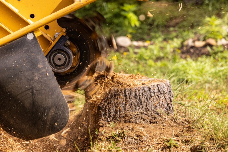 Tree And Stump Removal