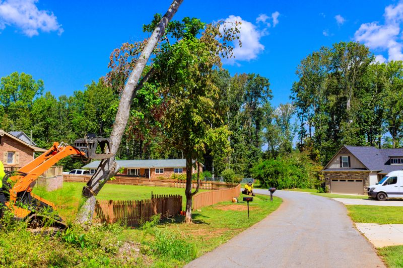 Tree Removal Service in Montgomery County, PA