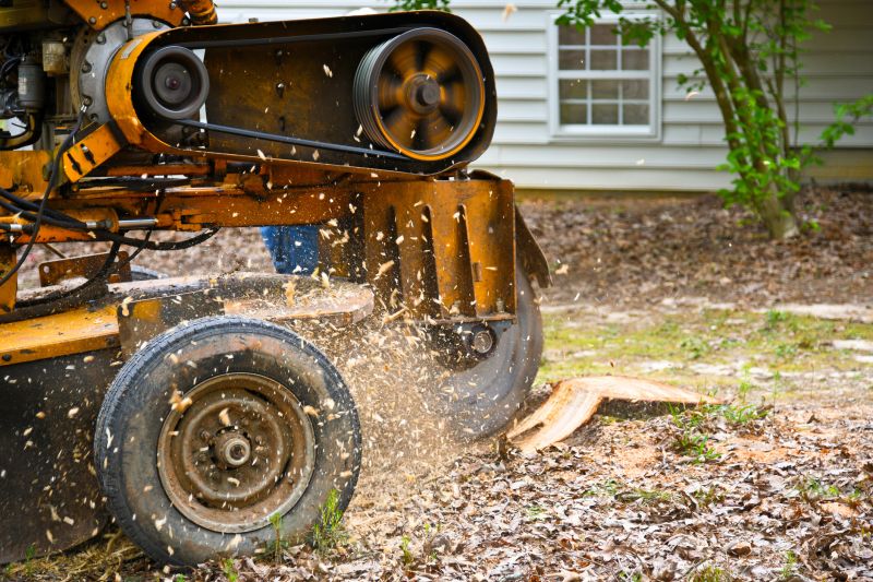 Stump Grinding Process